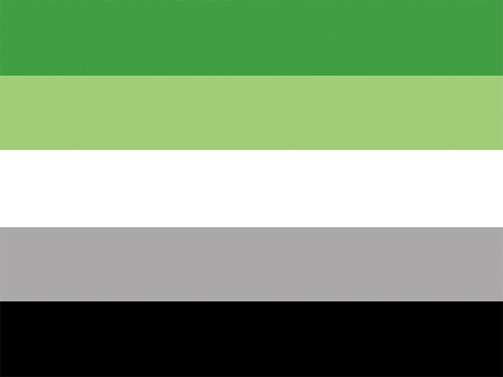 LGBTIQA+ Flags