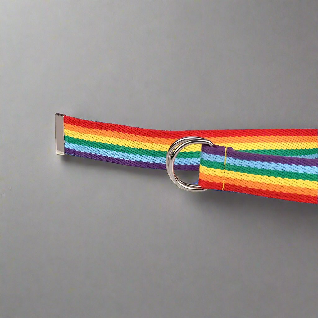 Pride Stance Belt