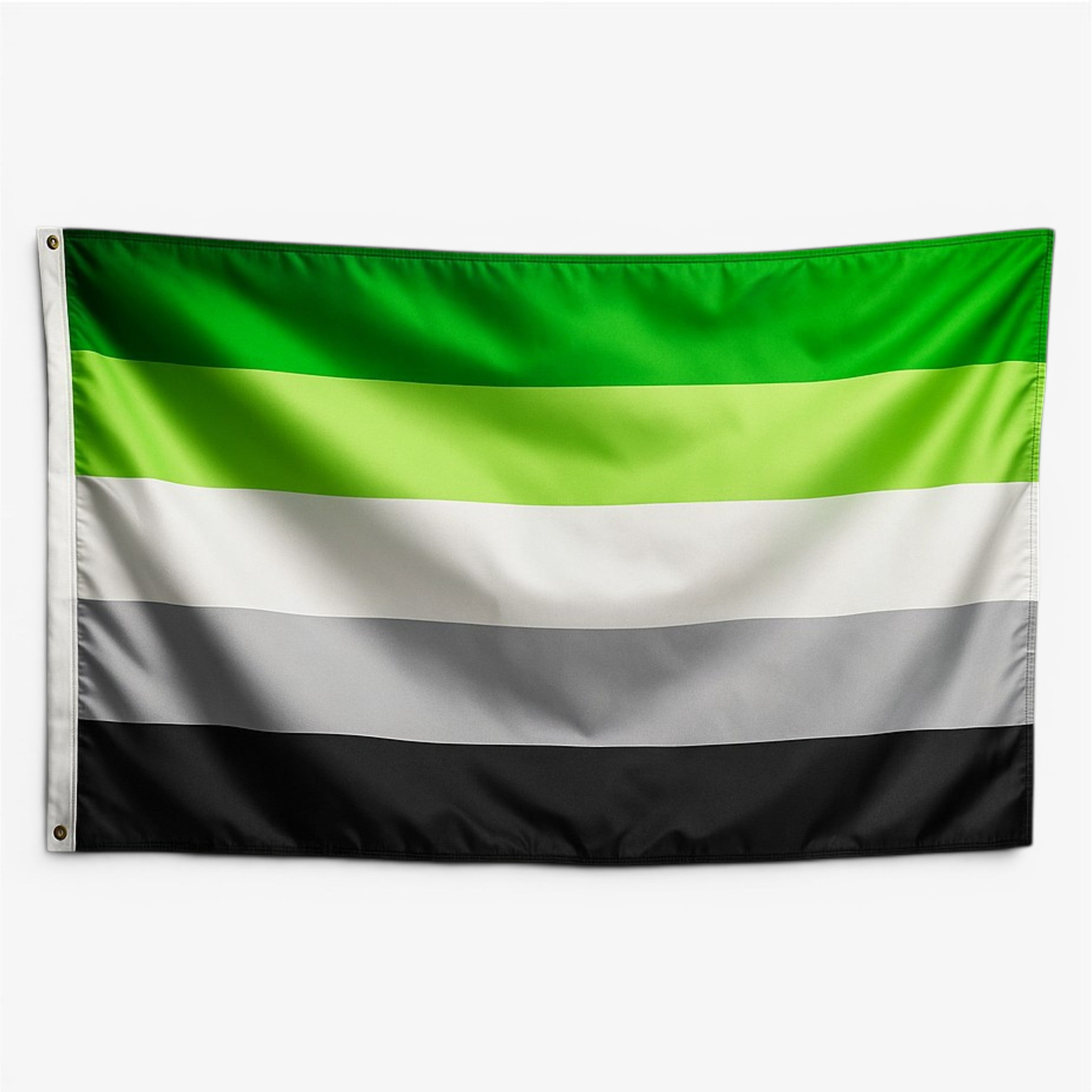 LGBTQIA+ Flags